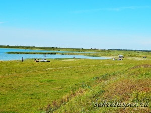 A kereső a ponty, a siker titka