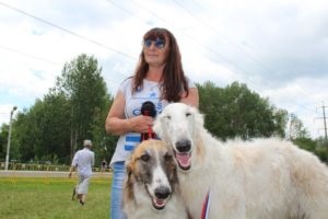 У Саранську пройшла виставка мисливських собак, ДТРК Мордовія