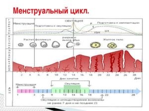 Здуття живота при місячних