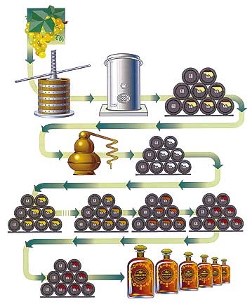 Sherry brandy leírást, hogyan kell inni koktélok