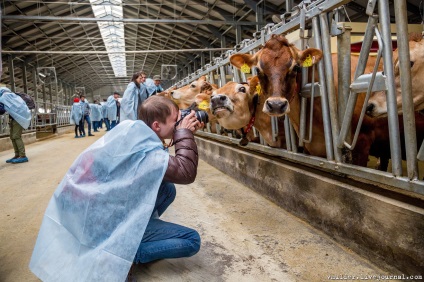 Fotografizez cuiburi sau povestiri despre cum Bender a muls vaca