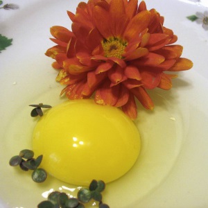 Яєчний шампунь в домашніх умовах, topclublady