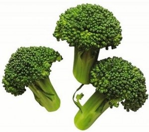 Recoltarea de broccoli