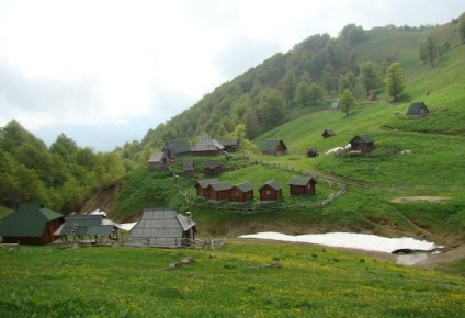 Rezervați Biogradska Gora în Muntenegru - ce să vedeți