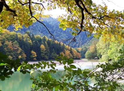 Reserve Biogradska Gora Montenegro - mit kell látni (látni) Reserve Biogradska Gora Montenegro - mit kell látni