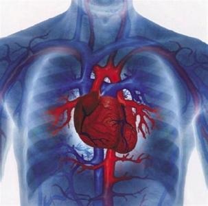 Factori sănătoși ai inimii 8