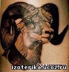 Semnificația semnului tatuaj al zodiacului 