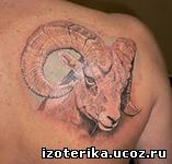 Значення татуювання знак зодіаку «овен»
