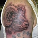 Значення татуювань «овен»