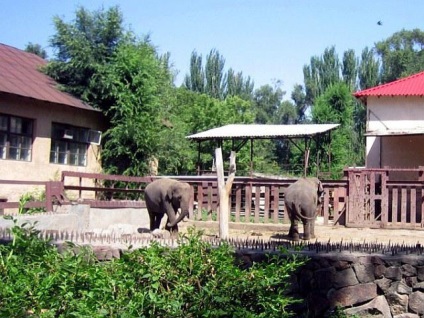 Зоопарк алмати мешканці, фото і відгуки