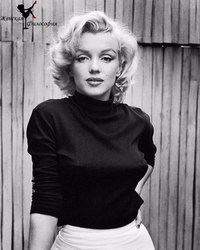 11 Secretele succesului Marilyn Monroe