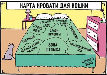 15 Забавних коміксів про відносини кішок і людей