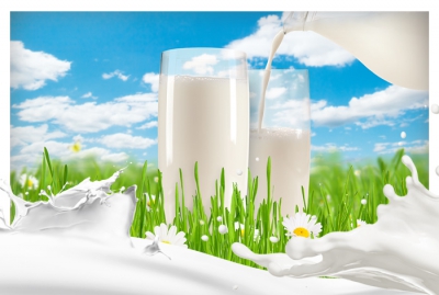 20 Фактів про молоко