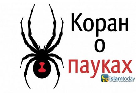 5 Всього категорій людей, з якими не варто дружити мусульманину