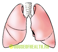 5 Типів астми