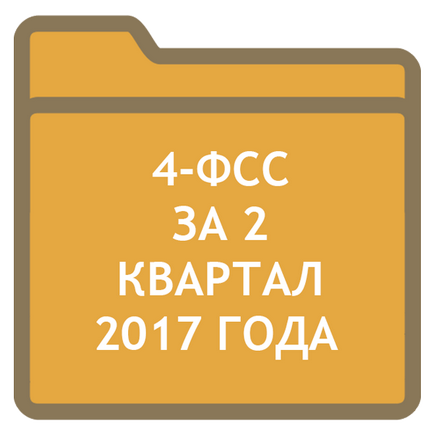 6-Ndfl pentru prima jumătate a anului 2017 exemplu de umplere