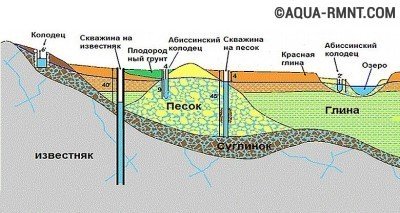 Abyssinian bine cu mâinile - dispozitivul acului bine