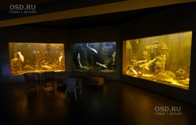 Akvárium komplex VDNH a pavilon 38 - A királyság hal és pihenés