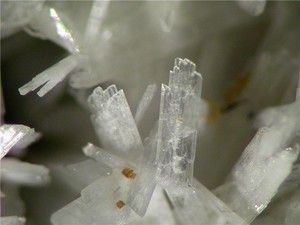 Caracteristicile albite ale acestui mineral, compoziția sa chimică, proprietățile de vindecare și mistică