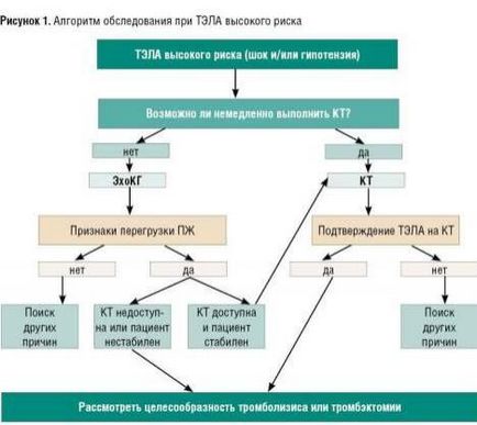 Algoritmi pentru diagnosticarea și tratamentul embolismului pulmonar, tehnologii moderne, oficial