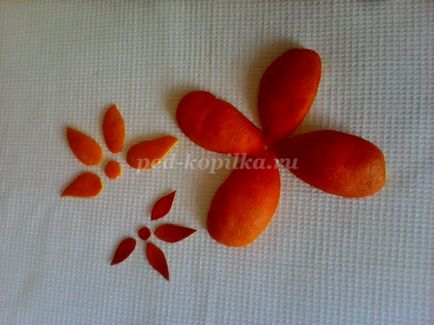 Аплікації квіти з апельсинової шкірки для дітей 4-7 років