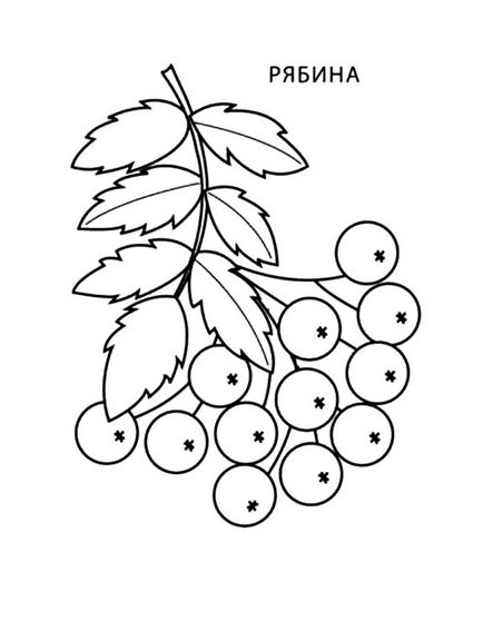 Aplicarea ramurii de cenușă de munte din șervețele și din hârtie colorată pentru grădiniță