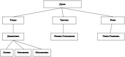 Аристотель - енциклопедичний розум стародавньої Греції - філософія