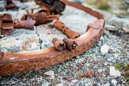 Curse autoturistice spre peninsula de pescuit