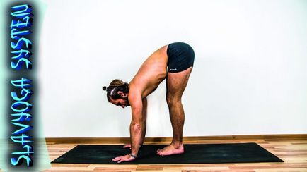 Bakasana (posesia macaralei), yoga, slavyoga