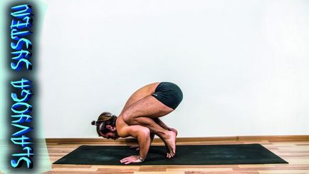 Bakasana (posesia macaralei), yoga, slavyoga