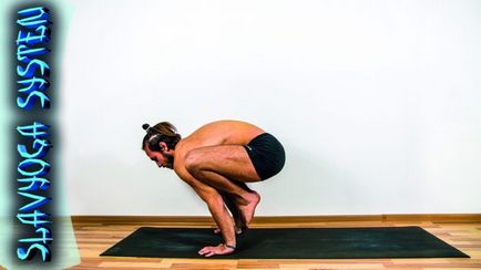 Bakasana (posesia macaralei), yoga, slavyoga