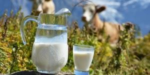 Бактерії в молоці які є корисні і шкідливі в материнському і коров'ячому молоці