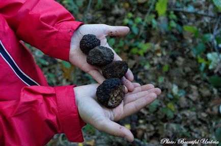 Umbria frumoasă umbria de vânătoare în Umbria - umbria frumoasă ru