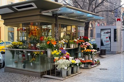 Plan de afaceri pentru un magazin de flori, descarcati exemple de calcule utile 