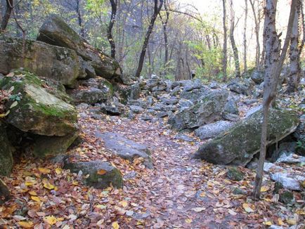 Traveler Блог - захар, Saharna, захар Молдова, обл Rezina, захар манастир