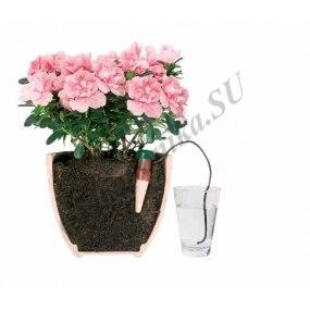 Blumat (plante de interior avtopolv) cumpara (dropper bloom)