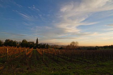 Bolgheri - italiană în rusă