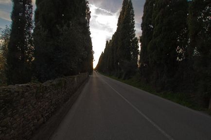 Bolgheri - italiană în rusă