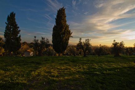 Bolgheri - italiană în rusă