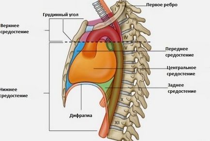 Біль в грудині посередині при вдиху, при натисканні, при русі - причини