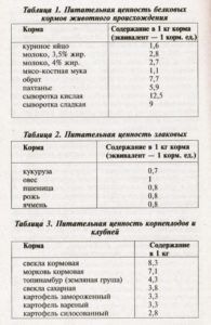 Чим годувати мускусних качок в домашніх умовах, все про корми