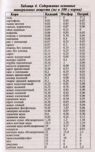 Mi a takarmány pézsma kacsa otthon, mind az élelmiszer