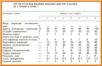 С какво да храним мускусни патици у дома, всичко за храна