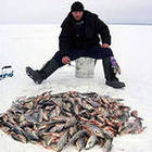 Care este diferența dintre sunetul ecou pentru pescuitul de iarnă și sunetul ecou pentru pescuitul de vară