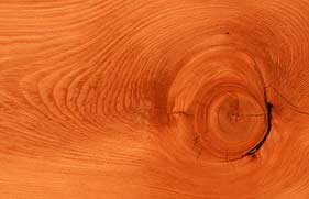 Чим відрізняються один від одного сорту деревини