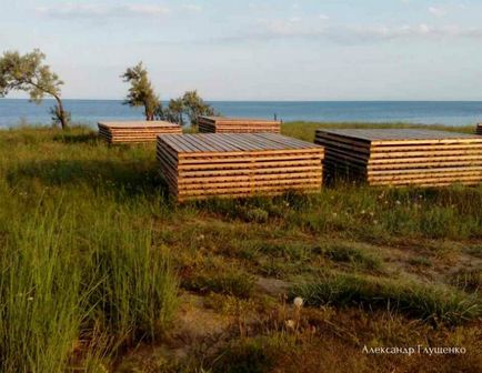 Що відбувається в тихій бухті влітку 2017 р