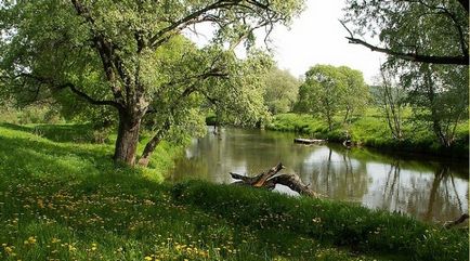 Messzire menni, nem szükséges - minden a külvárosban