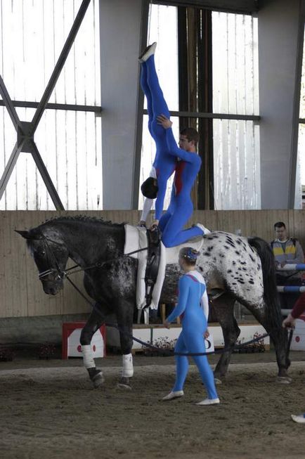 Gyermekek boltozat gyermekeknek 5 éves kor felett 12 éves, Lovaglóórák