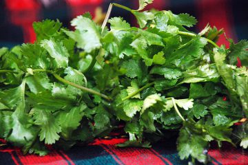 Homemade kebab în pâine pita cu salată verde picant