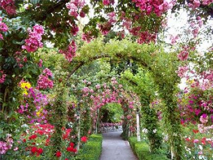 Donetsk Grădina Botanică 2